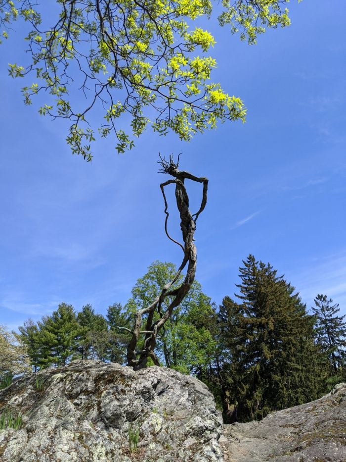 deCordova Sculpture Park